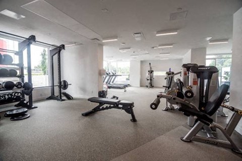 A gym with a variety of equipment including weights and machines.