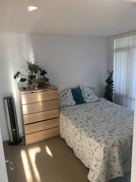 A bedroom with a bed, a dresser, and a plant.