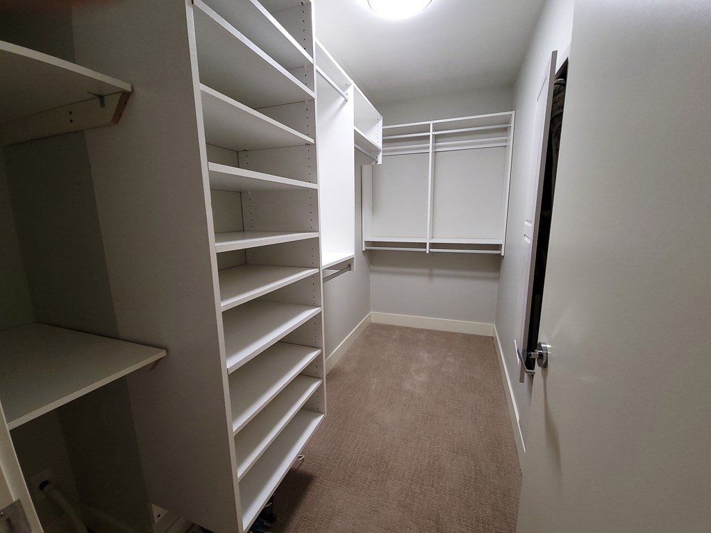 A walk-in closet with white shelving and a carpeted floor.
