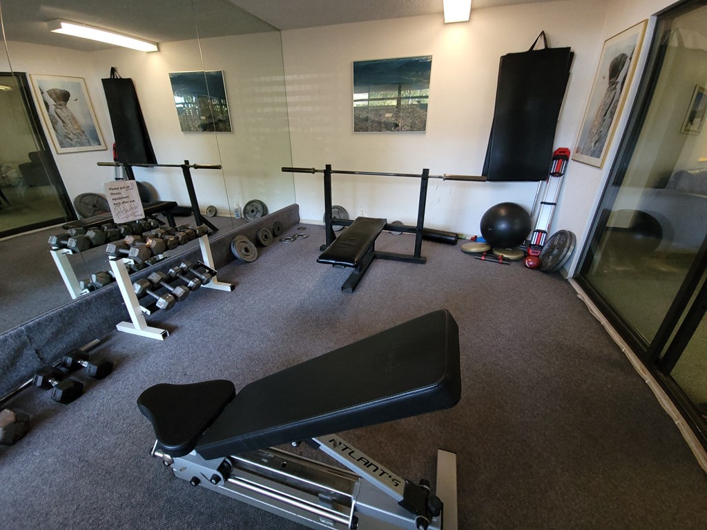 a view of the weights area in the gym
