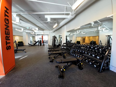 a view of the weight room in the fitness center