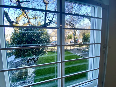 a view of a garden through a window