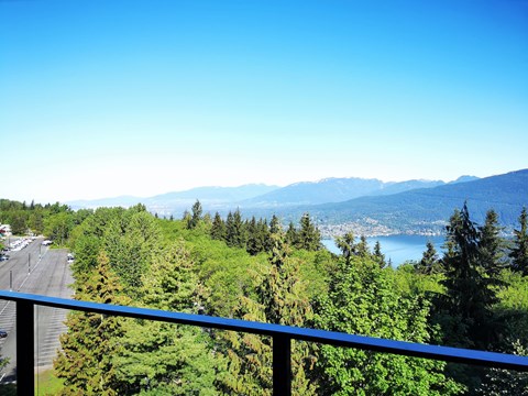 A view of a highway with trees and mountains in the distance.