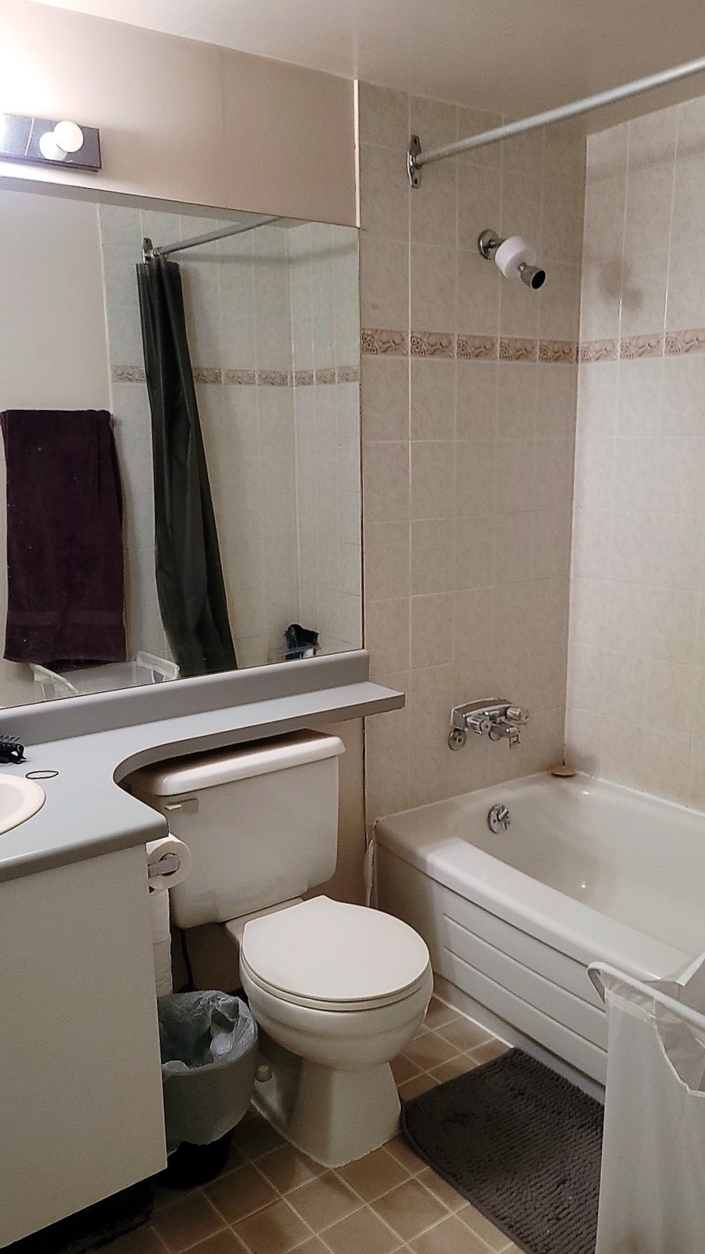 A white toilet sits next to a bathtub in a bathroom.