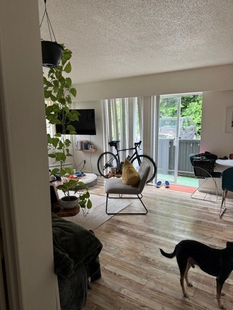A dog is standing in a living room with a chair and a bicycle in the background.