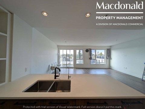 A MacDonald Property Management sign is on a wall above a sink in a room with a window.