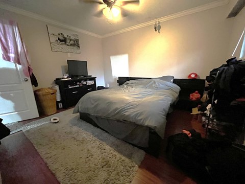 A bedroom with a bed, dresser, and ceiling fan.
