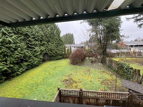 A backyard with a wooden fence and a green lawn.