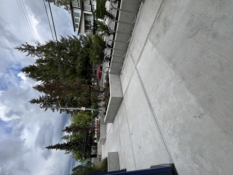 A concrete wall with a metal railing on top and trees in the background.