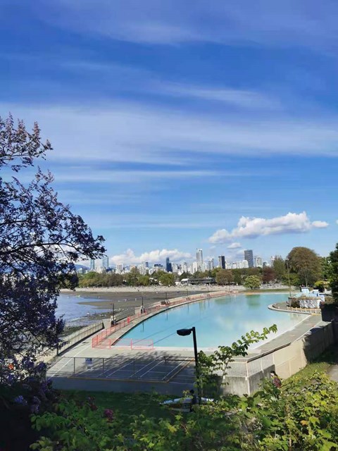A pool surrounded by trees with a city skyline in the background.