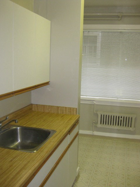 A kitchen with a sink and wooden countertop.