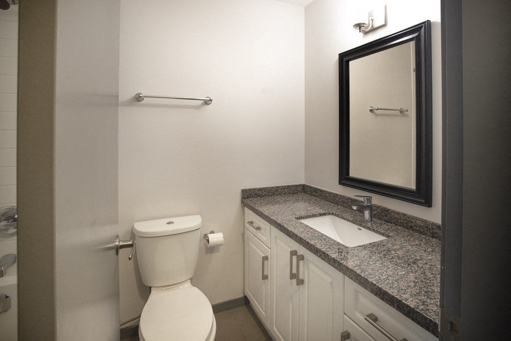 a bathroom with a toilet and a sink and a mirror