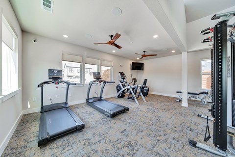 fitness center with ample machines for working out