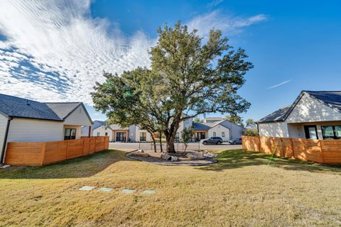 A tree stands in the middle of a grassy area between two houses.