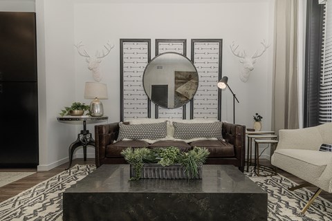 A living room with a black and white rug, a brown sofa, a round mirror, and a coffee table with a plant on it.