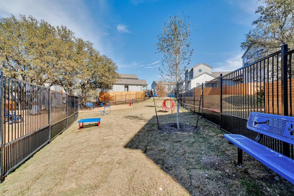 A dog park with a blue bench and a black fence.