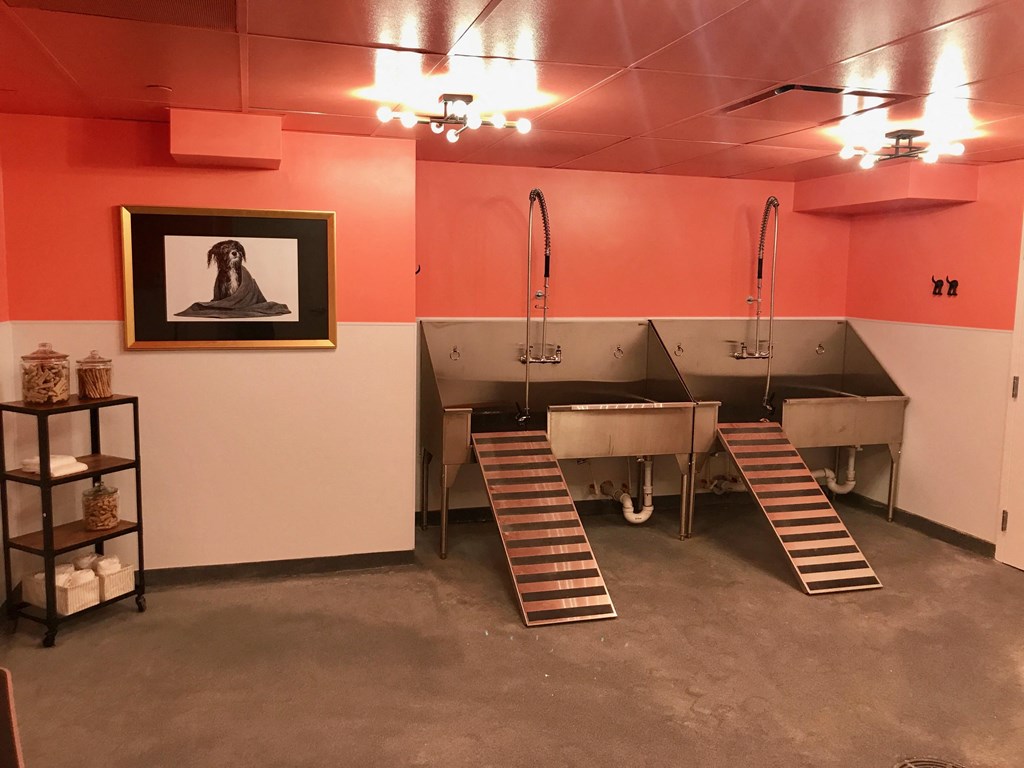 Pet Washing Station | The Star Houston