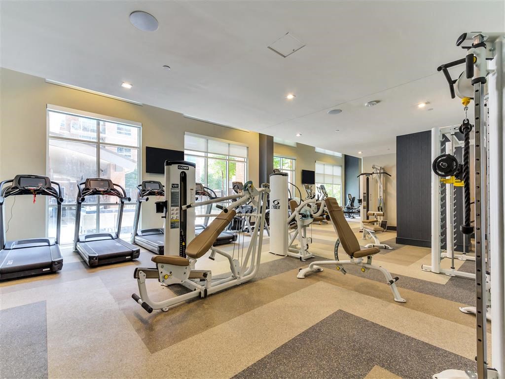 Modern fitness center with cardio and weights.