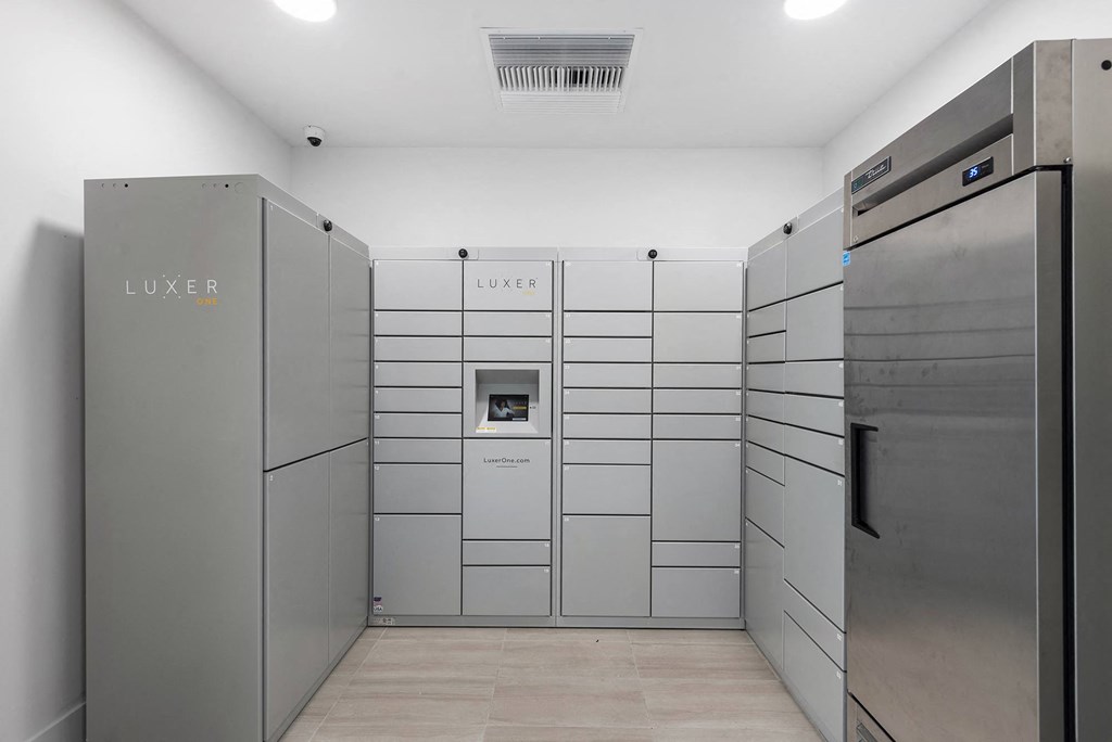the luxer package room