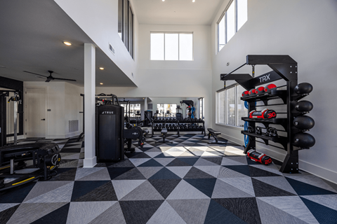 A black and white checkered floor in a gym with TRX and other exercise equipment.