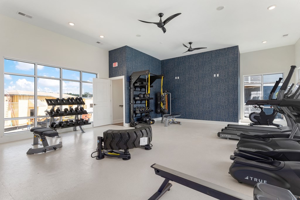 a gym with weights and dumbbells and a large window