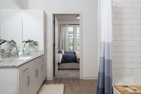 Madison Watergrass Model Unit Bathroom
