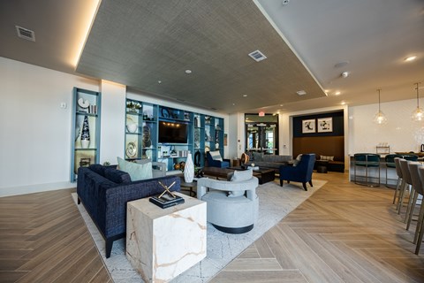 Madison Ashley Park Clubroom