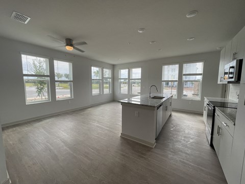 Kitchen and Living Room Area