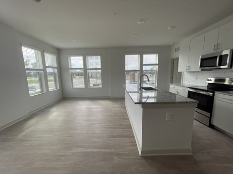 Kitchen and Living Room Area
