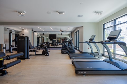 A gym with treadmills, elliptical machines, and other exercise equipment.