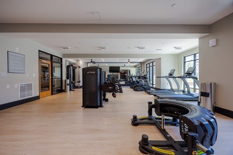 A gym with treadmills and elliptical machines.