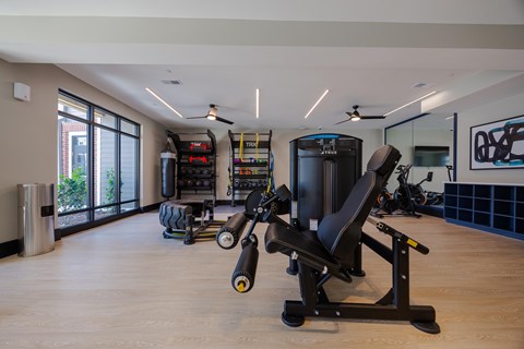A gym with a rowing machine and a bench press.