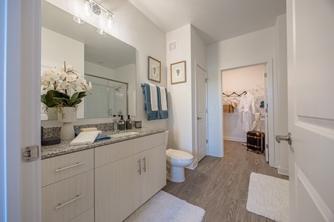 Bathroom with Storage and Granite Finishes at Madison Fountains Apartment Community in South Jacksonville, Florida