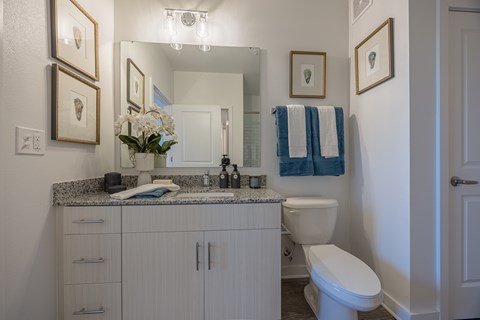Bathroom with Storage and Granite Finishes at Madison Fountains Apartment Community in South Jacksonville, Florida