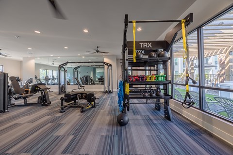 Fitness Equipment at Fitness Center - New Apartment Community in St Johns, Florida