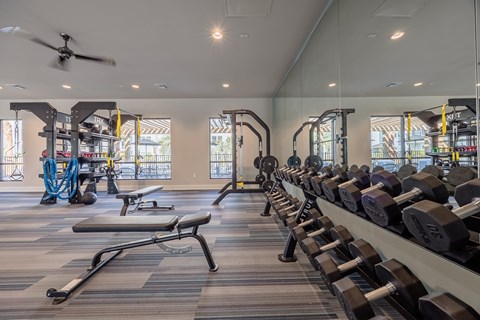 Fitness Equipment and Dumbbells at Gym in Apartment Community near St. Johns, Florida | Madison Fountains