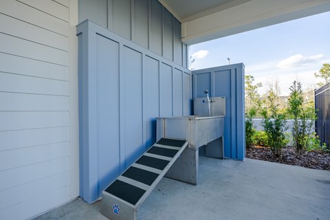 Dog Spa and Dog Park at New Apartment Community in