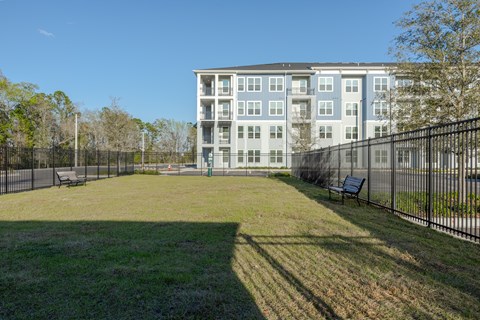 Pet Friendly - Dog Park at Apartment Community in St. Johns, Florida