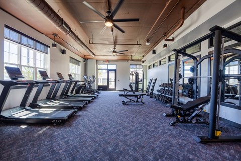A gym with treadmills, weights, and a fan.