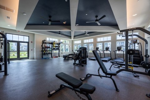 A gym with a variety of equipment including treadmills, weights, and benches.