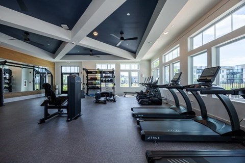 A gym with treadmills and other exercise equipment.