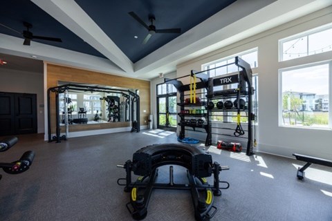 A home gym with TRX equipment and a bench.