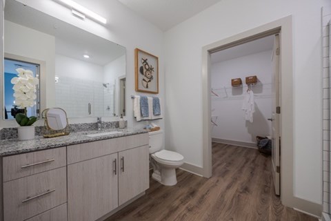 A bathroom with a toilet, sink, and mirror.
