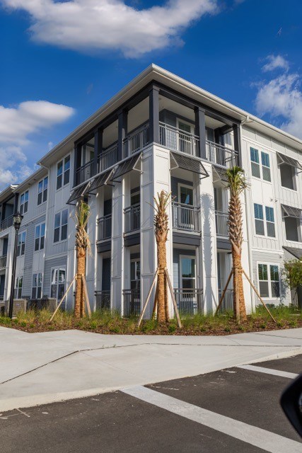 A modern building with palm trees in front.