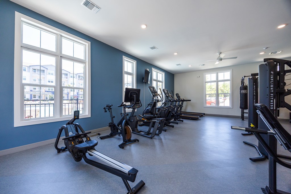 A gym with a row of exercise bikes and a row of treadmills.