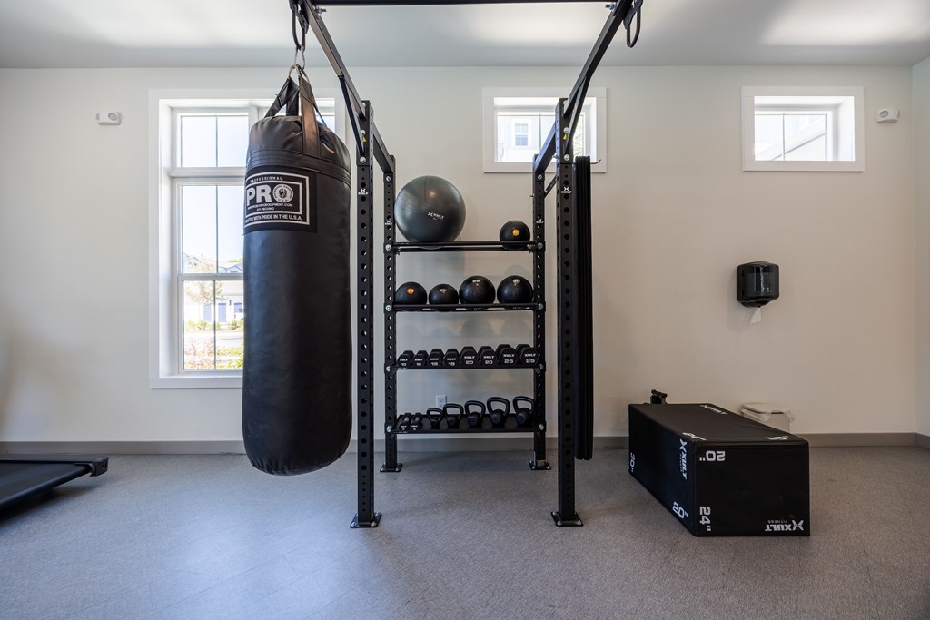 A gym with a punching bag, weight rack, and a boxing bag.