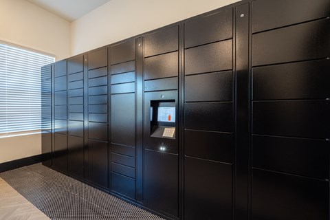 Secure Package Center in Mail Room - Madison Trails - Lawrenceville, Georgia Apartments