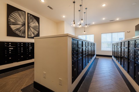 Secure Mail Room at Madison Trails