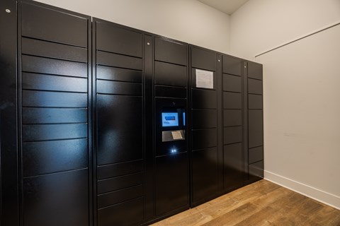 A row of black lockers with a small screen on the front of the third one.