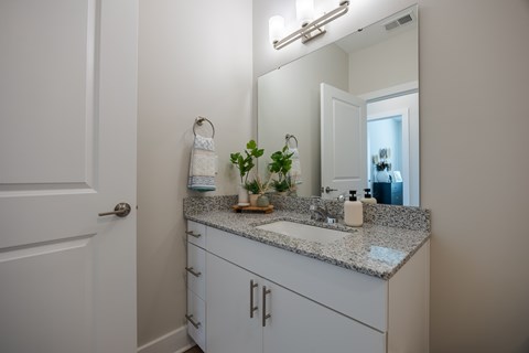 A bathroom with a white door, a mirror, a sink, and a plant.